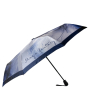 UFS0016-8 Зонт жен. Fabretti, автомат, 3 сложения, сатин