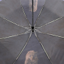 L-20260-8 Зонт жен. Fabretti, облегченный автомат, 3 сложения, сатин